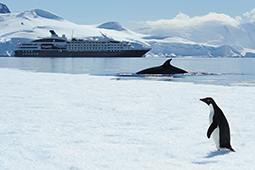Travailler pour la Compagnie du Ponant, c'est la garantie de découvrir les terres les plus lointaines