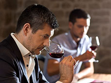 L'cole du vin de France, dguster est un plaisir qui s'apprend