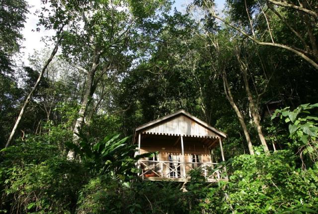 Au Jungle Bay, des bungalows sur pilotis nichés dans la forêt tropicale.