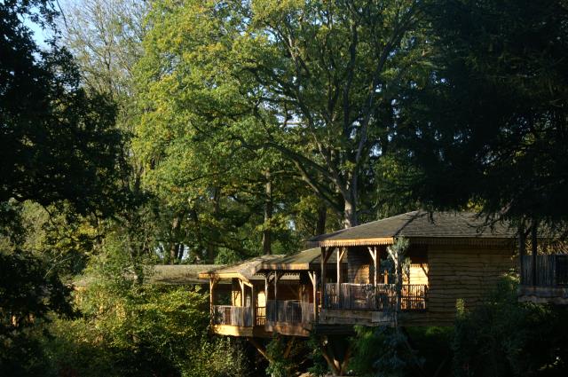 Construites au milieu des arbres du parc de 12 ha, les maisons des bois sont de véritables lodges en pleine Vendée