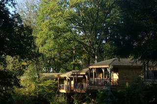 Construites au milieu des arbres du parc de 12 ha, les maisons des bois sont de véritables lodges...
