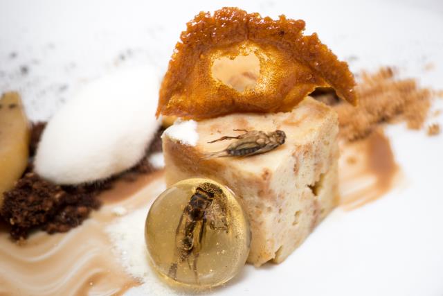 Les insectes font leur entrée à la carte de restaurants français. Ici, « Inclusion de grillons en bubble au whisky, cubique de pain perdu aux poires ». Une création signée David Faure.