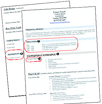 exemple cv restauration en anglais