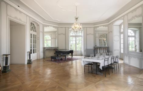 Image de Château de Roche 