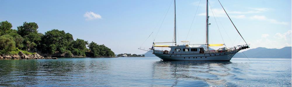 Photo de couverture de PATRONICE