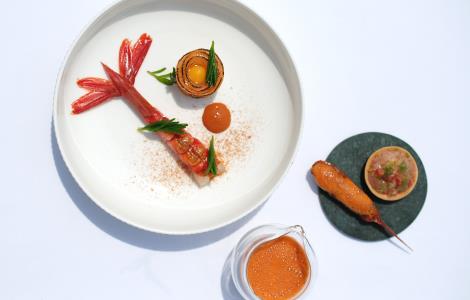 Image de Les Terraillers