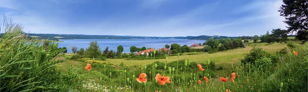 Photo de couverture de Les Terrasses du Lac