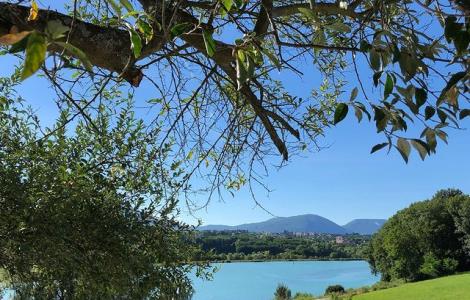 Image de Restaurant la fine fourchette 