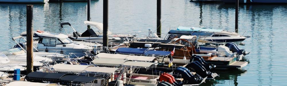 Photo de couverture de Le Saint Ferdinand