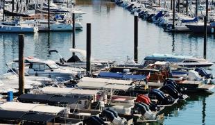 Image de Le Saint Ferdinand