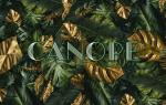Logo de Canopé Paris