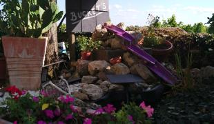 Image de Bucket's Auberge inn