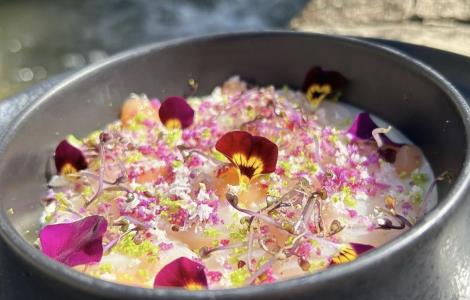 Image de LE LOCAL OYRE