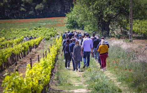 Image de Groupe Domaine & Demeure