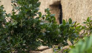Image de LA BUTTE Maison de Famille