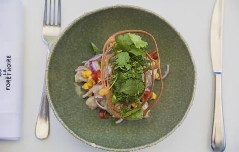 Image de LA FORÊT NOIRE