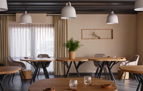 Image de Alchémille