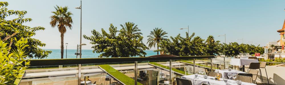 Photo de couverture de Vivo