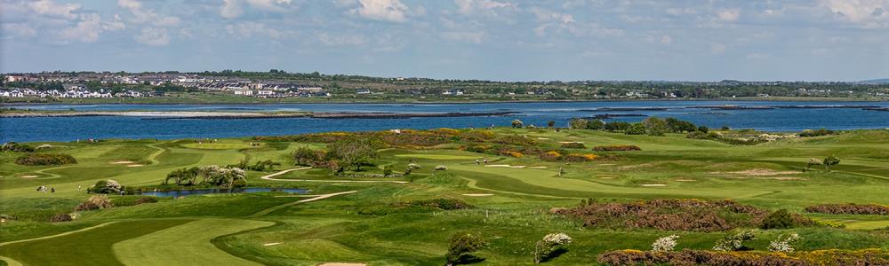 Photo de couverture de The Hawthorn By Galway Bay