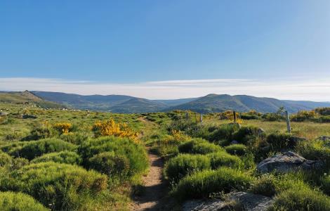 Image de Auberge des Cévennes 