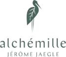 Alchémille