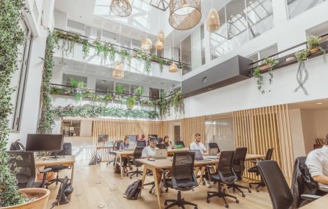 Image de THE BABEL COMMUNITY