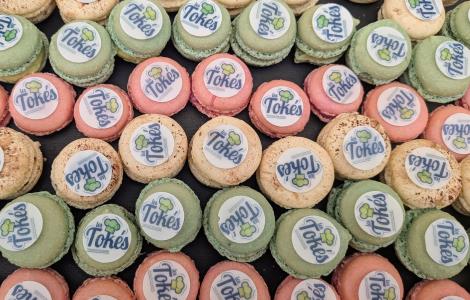 Image de ESAT DE PUTEAUX VYV3 IDF: LES TOKES