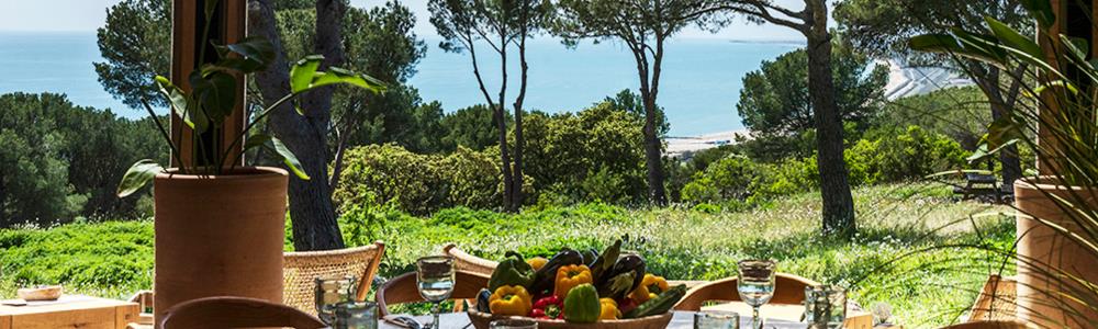 Photo de couverture de LA MESA Les Pierres Blanches