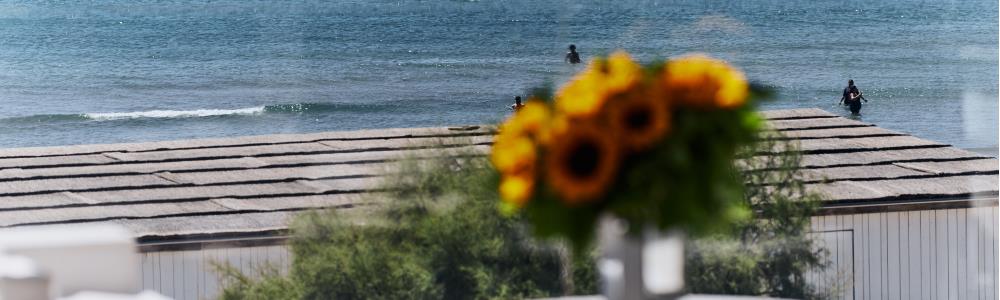 Photo de couverture de Hôtel Plage Palace