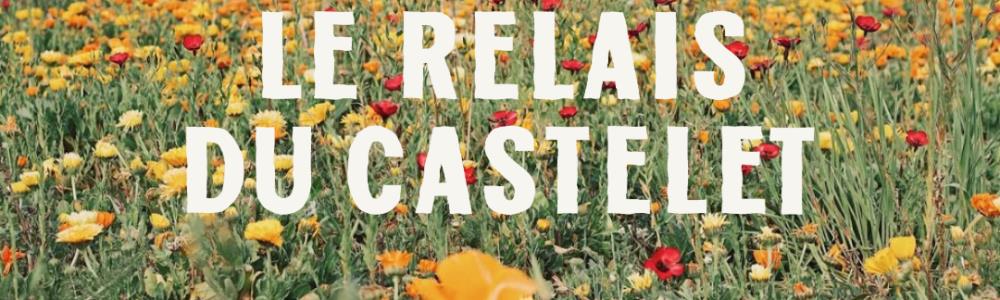 Photo de couverture de LE RELAIS DU CASTELET 