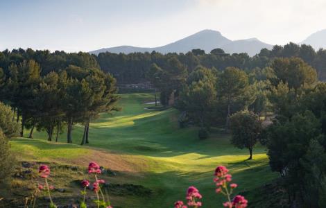 Image de Resonance Golf Collection