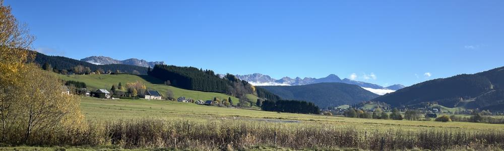 Photo de couverture de Le Café de Lyon