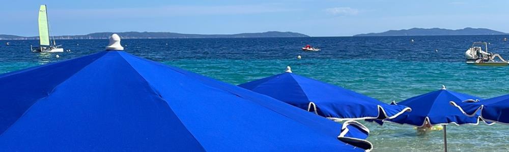 Photo de couverture de Les Canetons 