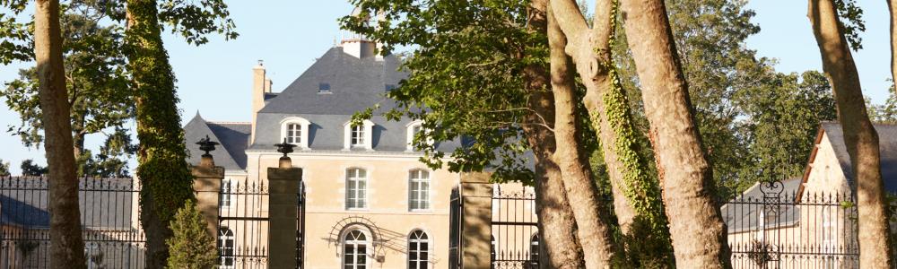 Photo de couverture de Domaine Le Mezo