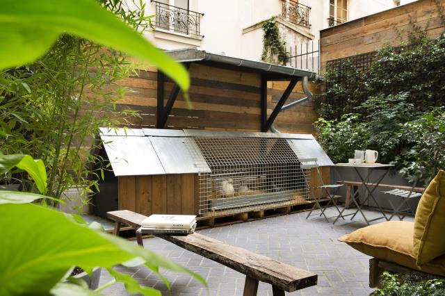 Le COQ Hotel a son poulailler en plein Paris (13e).