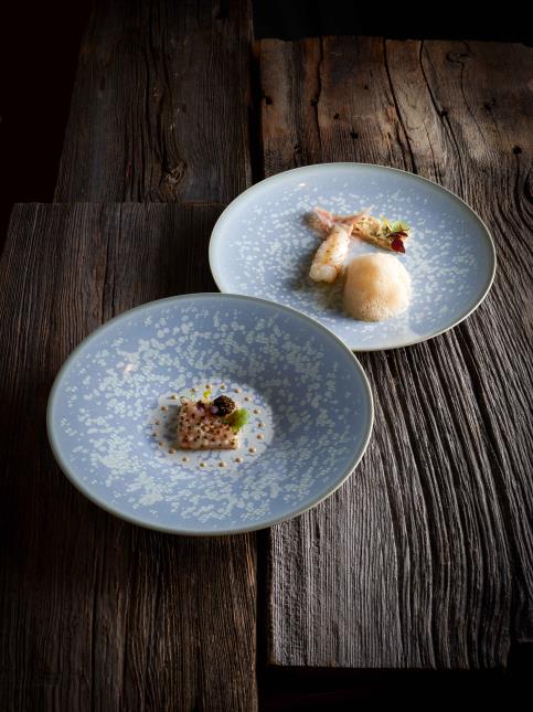 Langoustines Vivantes de La Cotinière en tartare / saisies et araignée de mer