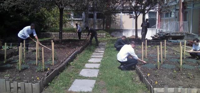 Le nouveau potager : Un travail en commun entre l'EA et FERRANDI Jouy-en-Josas