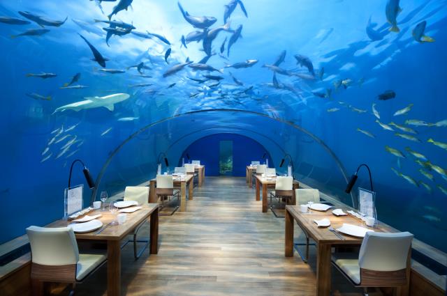 Le restaurant sous-marin du Resort Conrad Maldives Rangali Island