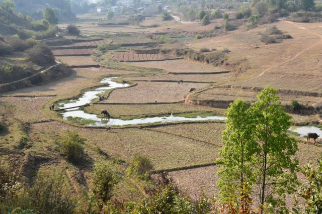 Un paysage birman.