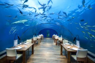 Le restaurant sous-marin du Resort Conrad Maldives Rangali Island