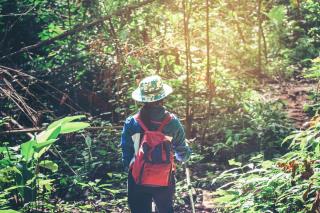 86 % des Français se disent prêts à réserver un mode d'hébergement respectueux de l'environnement...