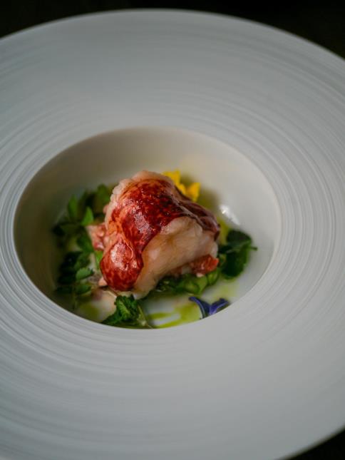 Homard mi-cru mi-cuit tempéré