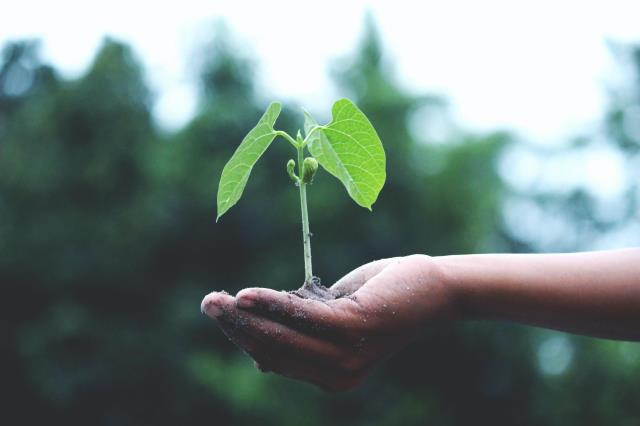 L'impact de l'alimentation sur l'environnement est de plus en plus pris en compte par les consommateurs.