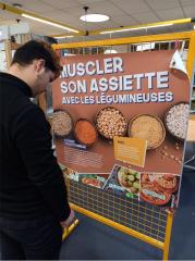 Affiche : muscler soin assiette avec les légumineuses