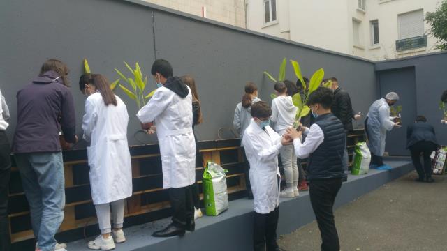 Remise en état d'un potager dédié aux arômes du vin