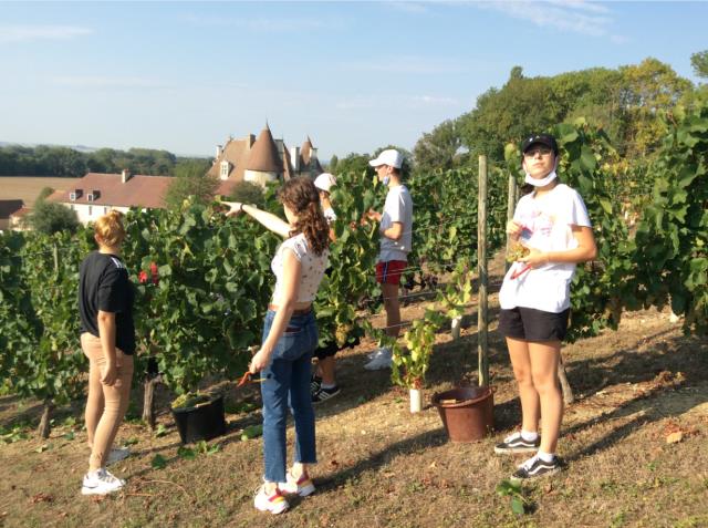 Pour les Bac Pro le bonheur est dans la vigne !