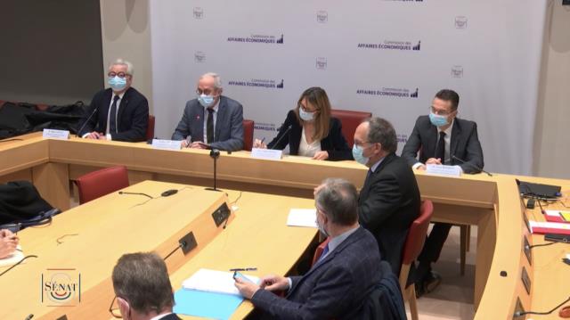 De g à d (en fond) : Didier Chenet, Hervé Bécam, la présidente de la commission, Sophie Primas et Axelis Bourdon.