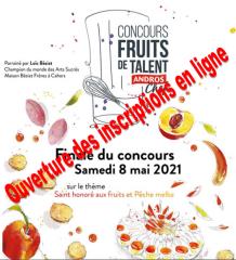 Concours Andros ' Les fruits de talent'