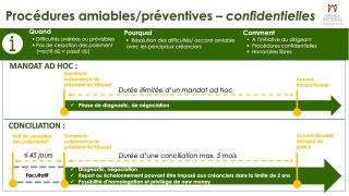 Procédures amiables et préventives.