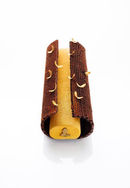 La bûche du Ritz Paris.